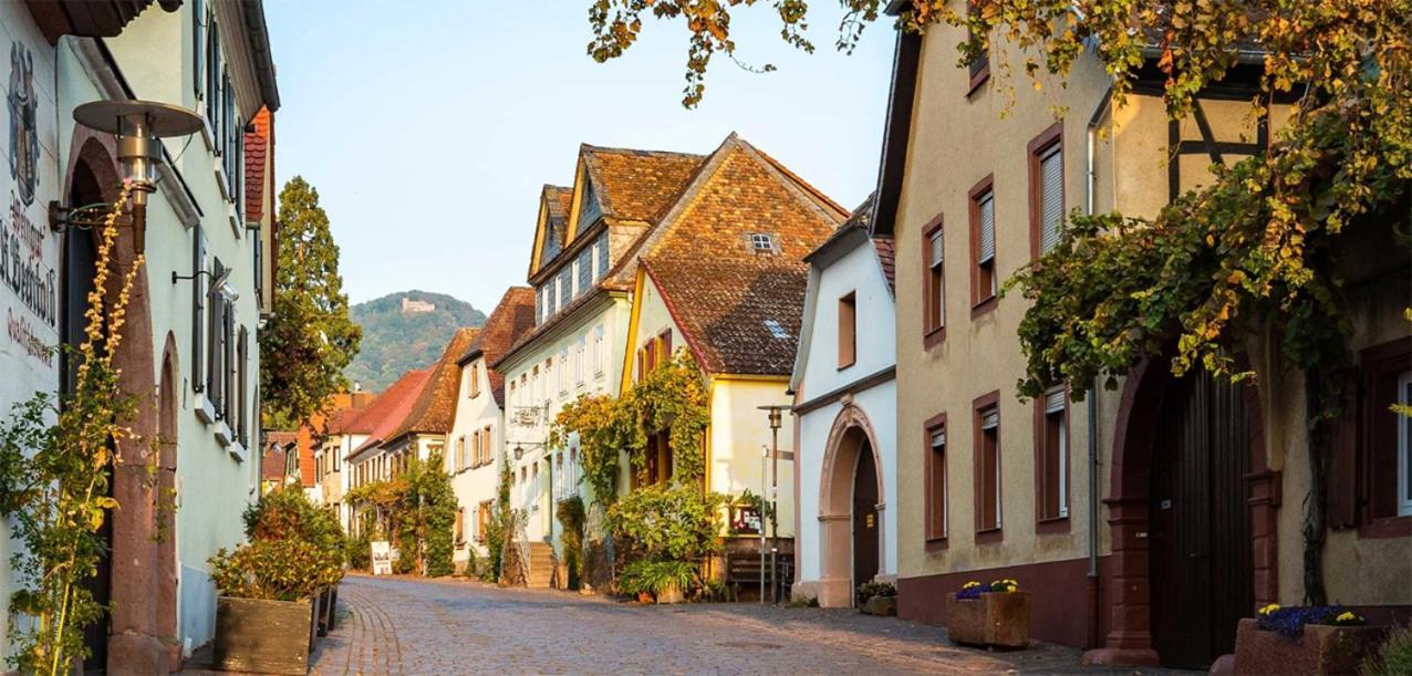 Hotel Rhodter Adler Rhodt unter Rietburg Buitenkant foto